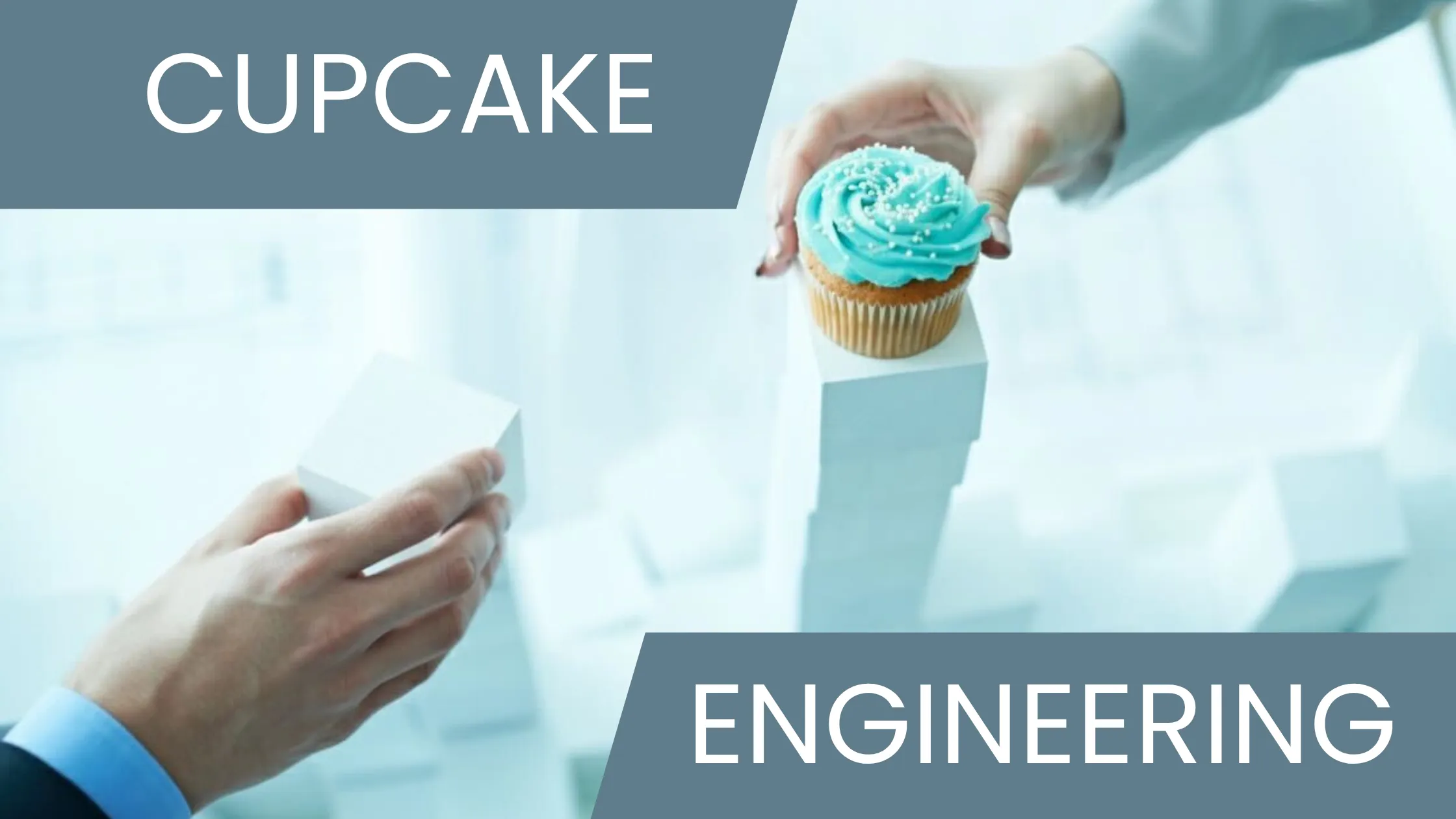 Cover for The Cupcake Engineering Model