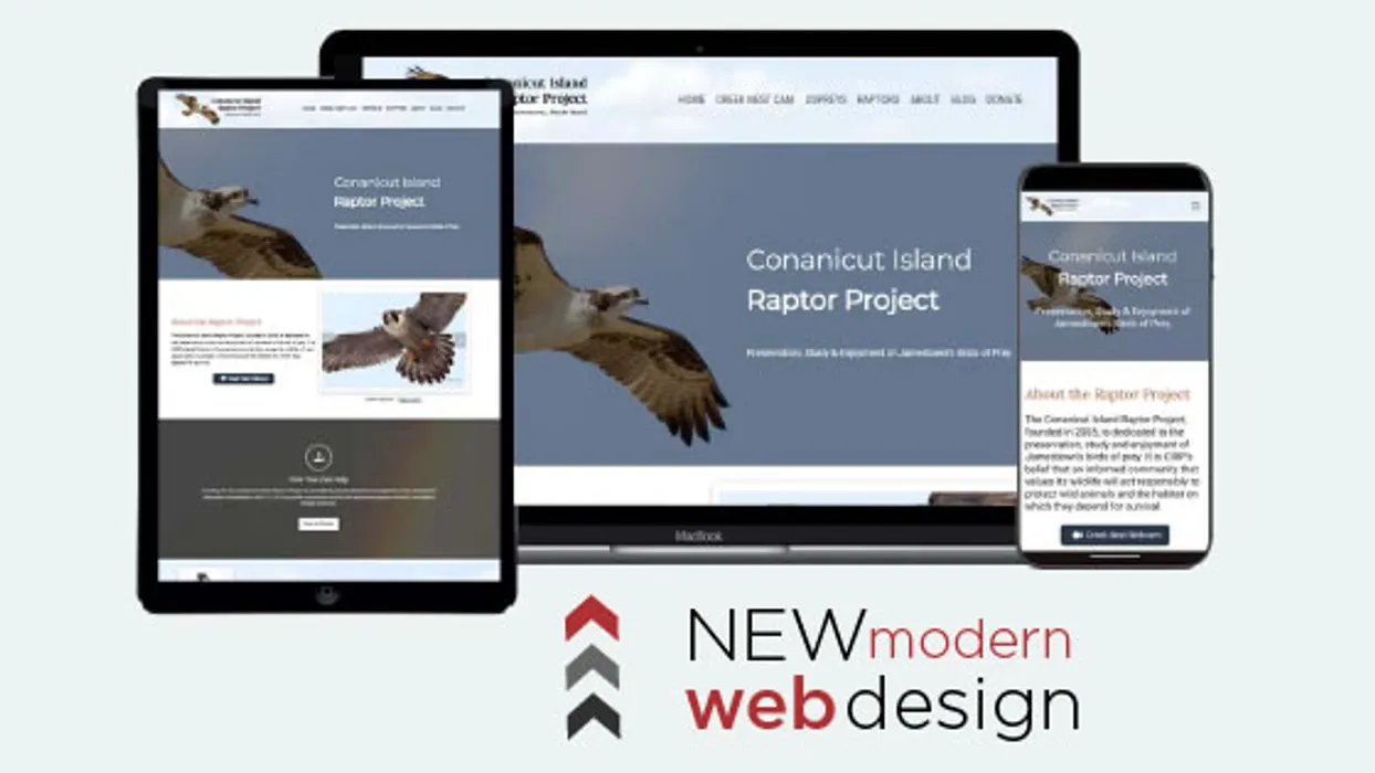 Blackburn Labs and CIRP Collaborate to Bring Rhode Island Raptors to the Digital World blog post