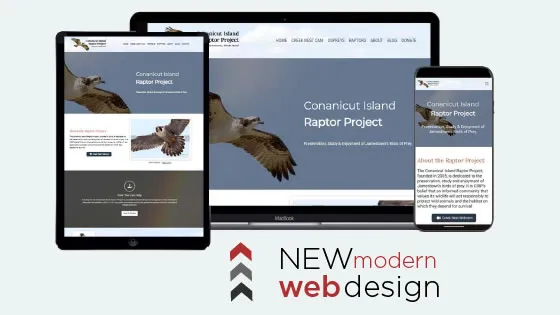 Cover for Blackburn Labs and CIRP Collaborate to Bring Rhode Island Raptors to the Digital World